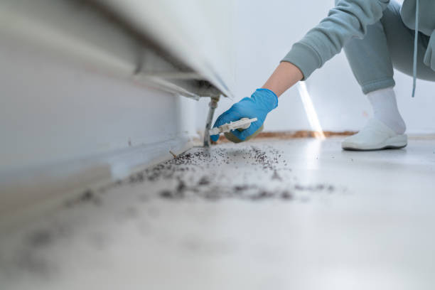 Reliable Oak Valley, NJ Pest Control Solutions